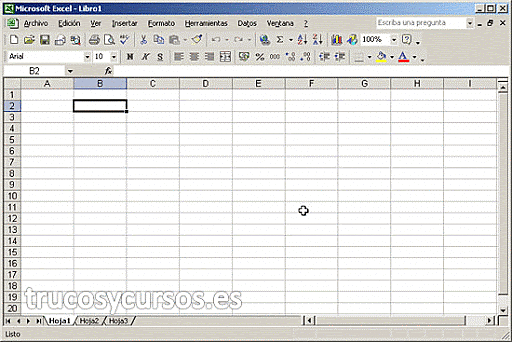 Excel 10.0