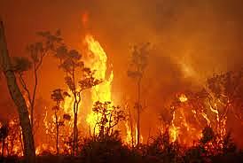 Australia Wildfires