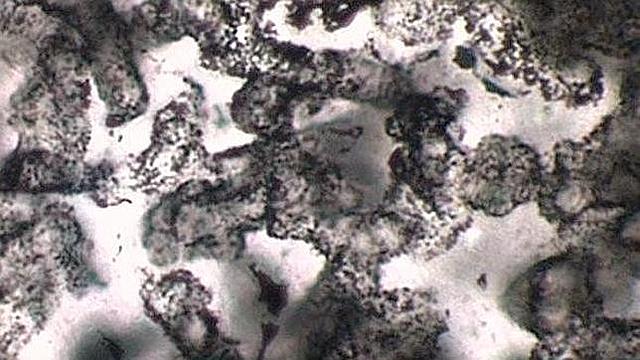 3200 millones de años