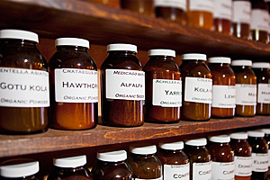 Medicina la Homeopatía Siglo XVII (alemania)