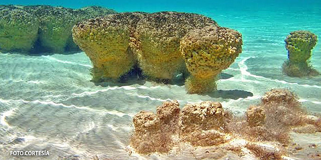 2800 millones de años