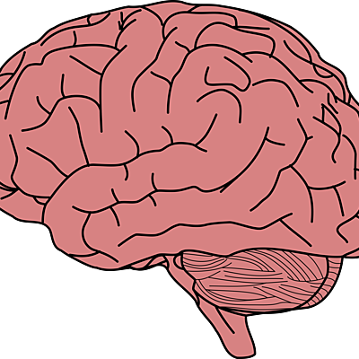 Timeline: Evaluación Personalidad Infancia y Adolescencia
