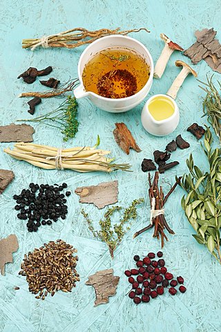 Reivindicación de conocimiento ancestral Renacimiento de la Medicina tradicional 1978