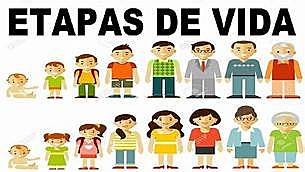 PERÍODOS PRENATALES