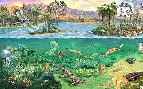 Devónico - 408 millones de años