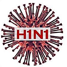 Caracterización “in vivo” e “in vitro” del virus H1N1