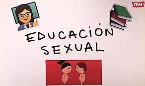 PROYECTO PEDAGÓGICO OBLIGATORIO (1993-1994)