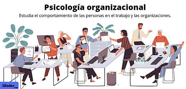 Nuevos roles para el psicólogo organizacional