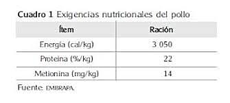 Problema de la dieta