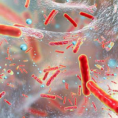 Timeline: Científicos que contribuyeron a la microbiología