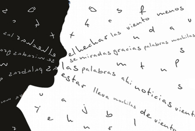 Unions desiguals i diglòsiques.