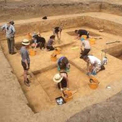 Timeline: Group D timeline