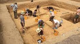 Timeline: Group D timeline