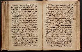 Aparece la voz Cacao