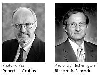 METÁSTASIS SÍNTESIS ORGÁNICA