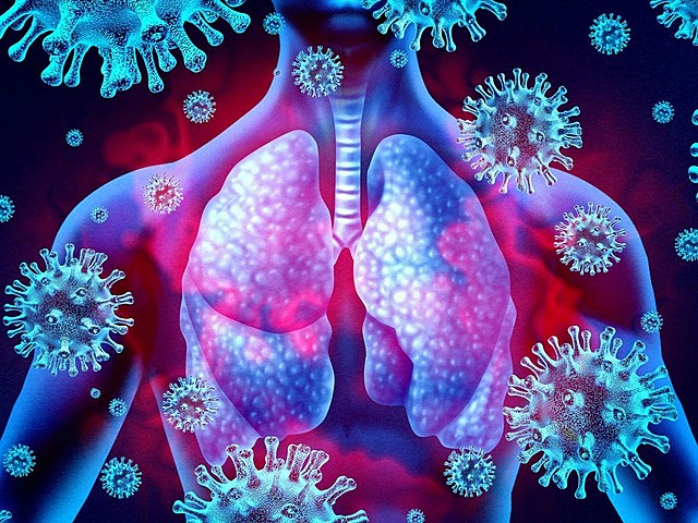 El nuevo Coronavirus (COVID-19)