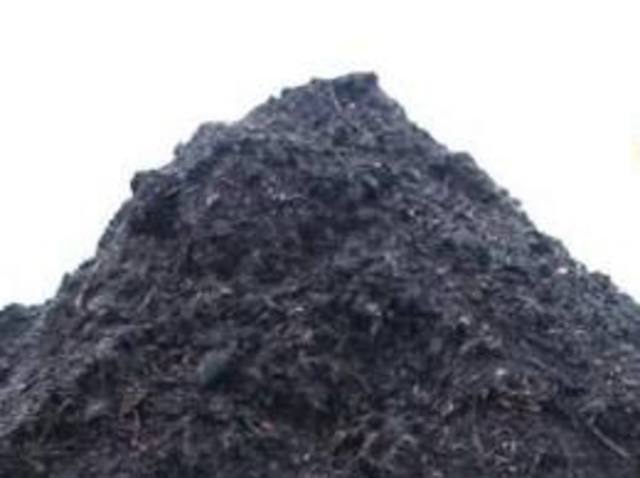 sección de investigación industrial agrícola