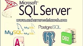 Timeline: Sistemas Gestores de Bases de Datos