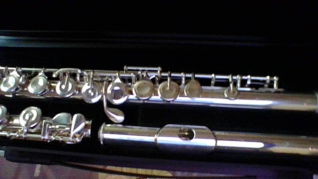 Started to learn to play the flute