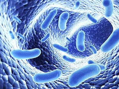 El trasplante del microbioma intestinal de una persona a otra transfiere enfermedades y salud: el trasplante fecal (popó) ayuda contra las superbacterias