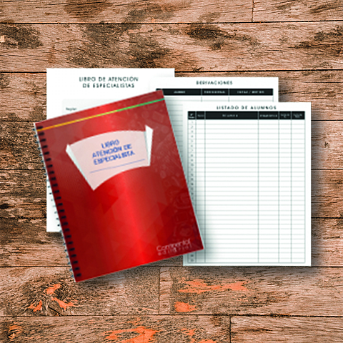 Utilización de libros auxiliares