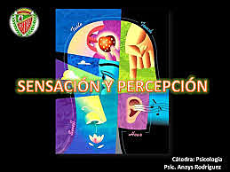Procesos de sensación y percepción