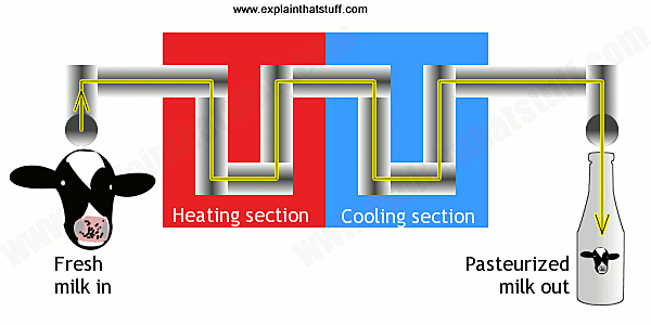 Mandatory Pasteurization of Milk.