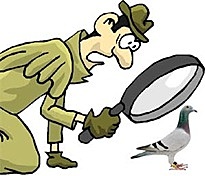 Inicio de la observación sistemática.