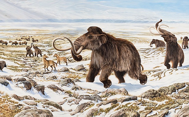 Pleistoceno - 2 millones de años