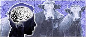 “vacas locas” Creutzfeldt-Jakob.