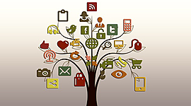 Timeline: BIEN COMÚN