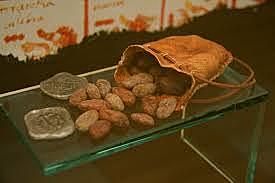 Primer registro del comercio de cacao