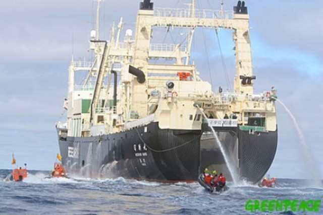 EXPLOTACION DE ANIMALES FENOMENO SOCIAL