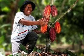 Mejora de la competitividad de cadenas Productivas Peru (PROCOMPITE)