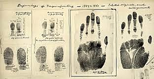 first fingerprints