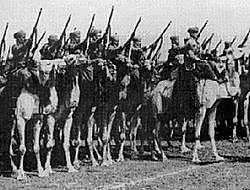 Rendición de las fuerzas del Eje en el norte de África.