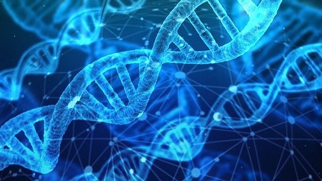 Faster DNA IDs