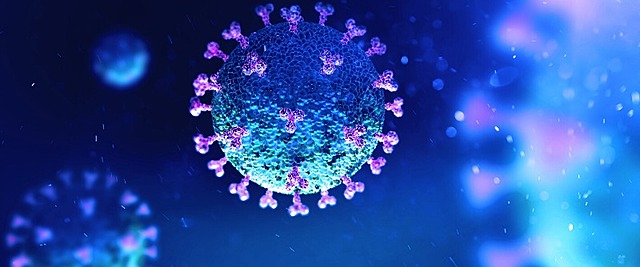 La microbiota: un escudo microscópico contra la COVID-19-https://www.bbvaopenmind.com/ciencia/investigacion/la-microbiota-escudo-microscopico-la-covid-19/