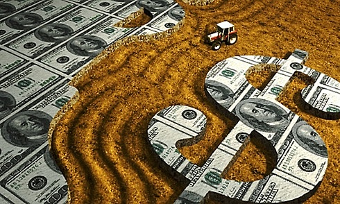 Se establece la hegemonía del dolár