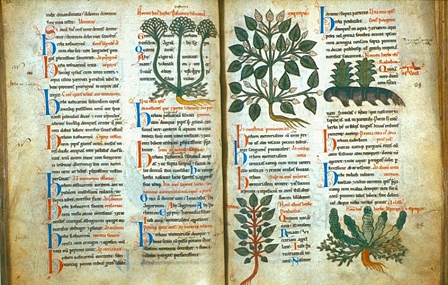 Escrito "Marcer Floridus"