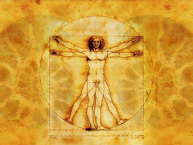 Inicia el renacimiento.