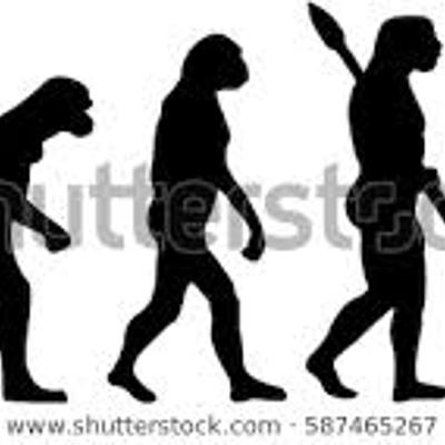 Timeline: Historia de la Enfermería y su Evolución; por: Patricia Mendoza Jimenez