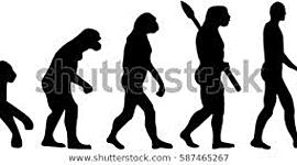 Timeline: Historia de la Enfermería y su Evolución; por: Patricia Mendoza Jimenez