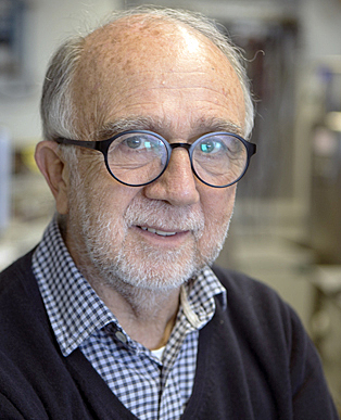 Identidad según Tejada Palacios