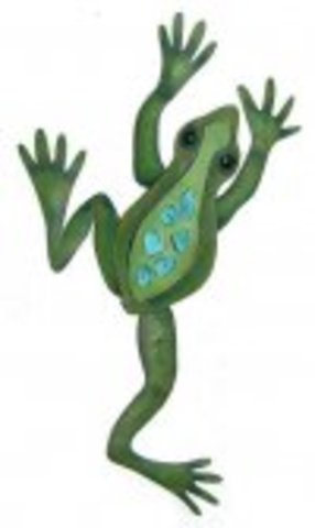 Frogs