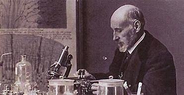 creador de riendas de empresarial.