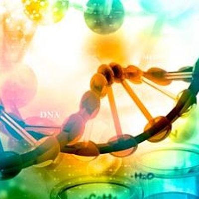 Timeline: Terapias Naturales