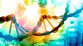 Timeline: Terapias Naturales