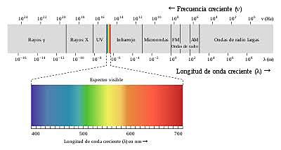 Encuentran los rayos x