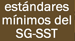 Resolución 1111 de 2017
